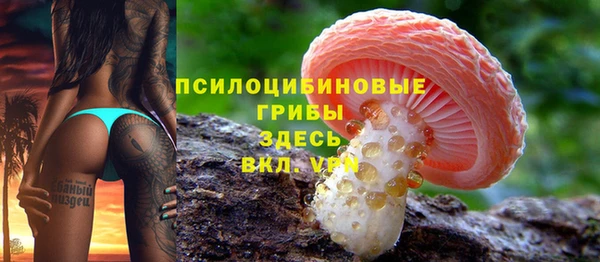 Альфа ПВП Алзамай